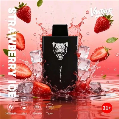VANTHER 30000PUFFS-DSK077 Ατμιστής μιας χρήσης